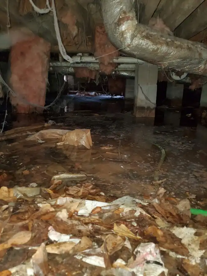 Crawl space flood assessment for Leak Detection & Repair in Pollock Pines